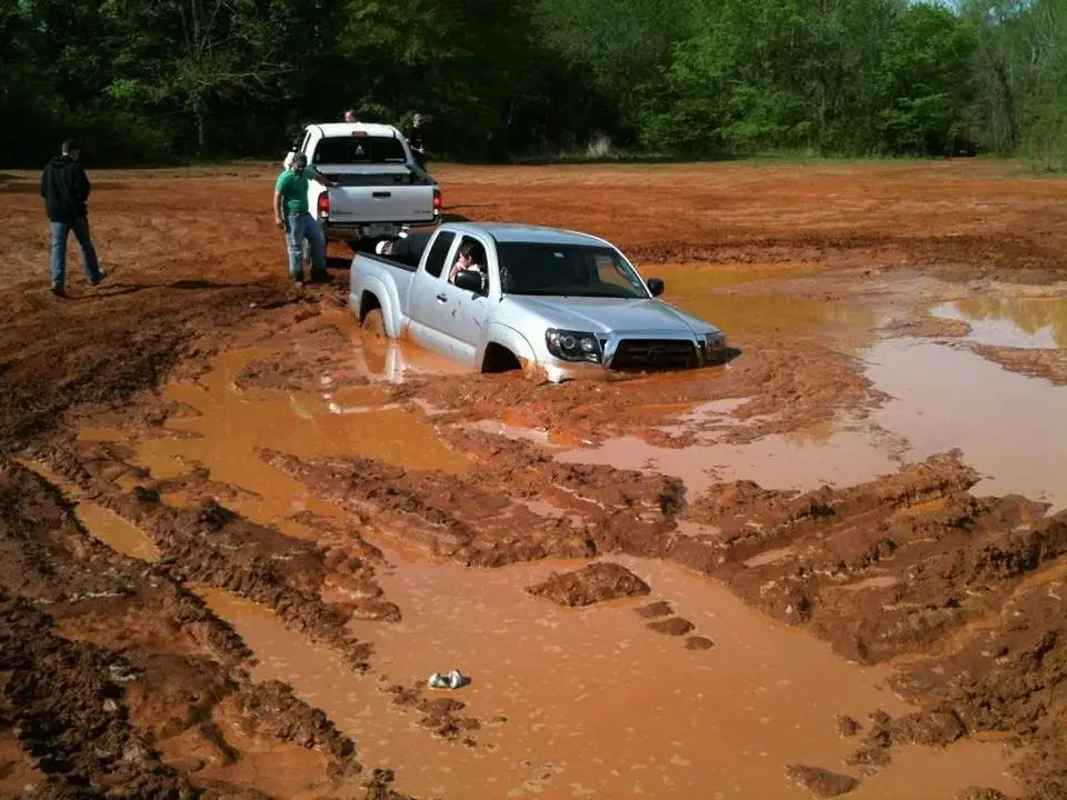 jay_mud_01.webp