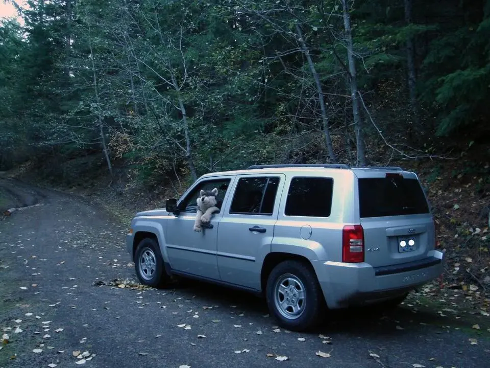 Jeepandwolf.webp