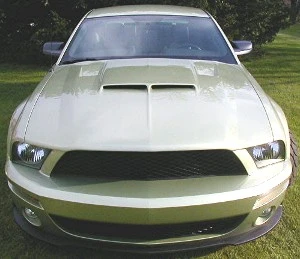 Jeff_s_Shelby_GT500_conversion_5_web_site.webp