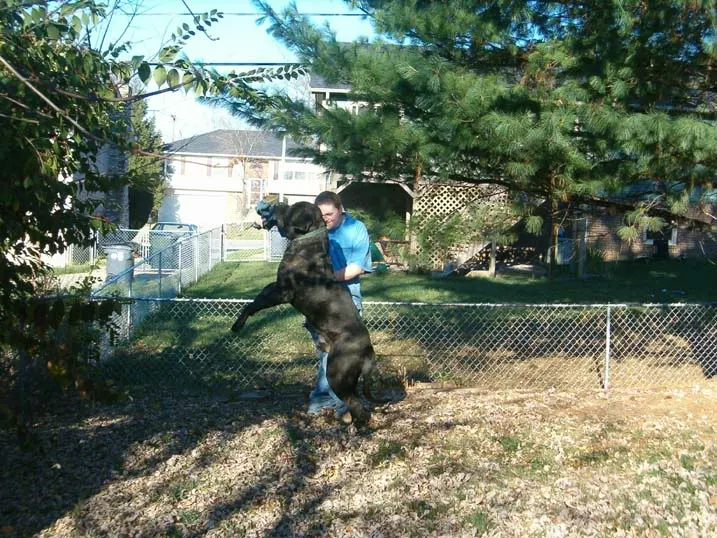 JeffJump.webp