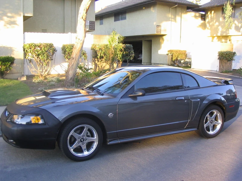 jenstang.webp