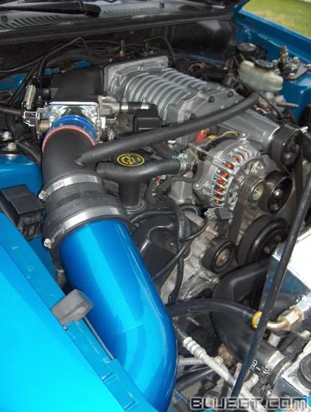 jlt04.webp