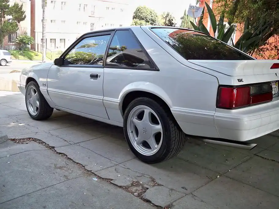 jrfj8l.webp