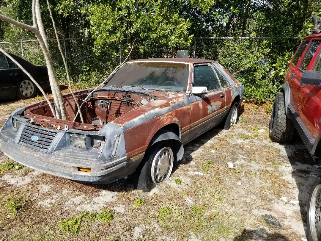 JRs stang.jpg