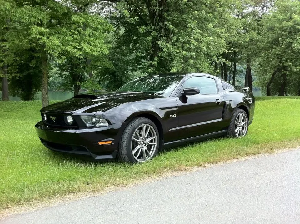 June_2011038.webp