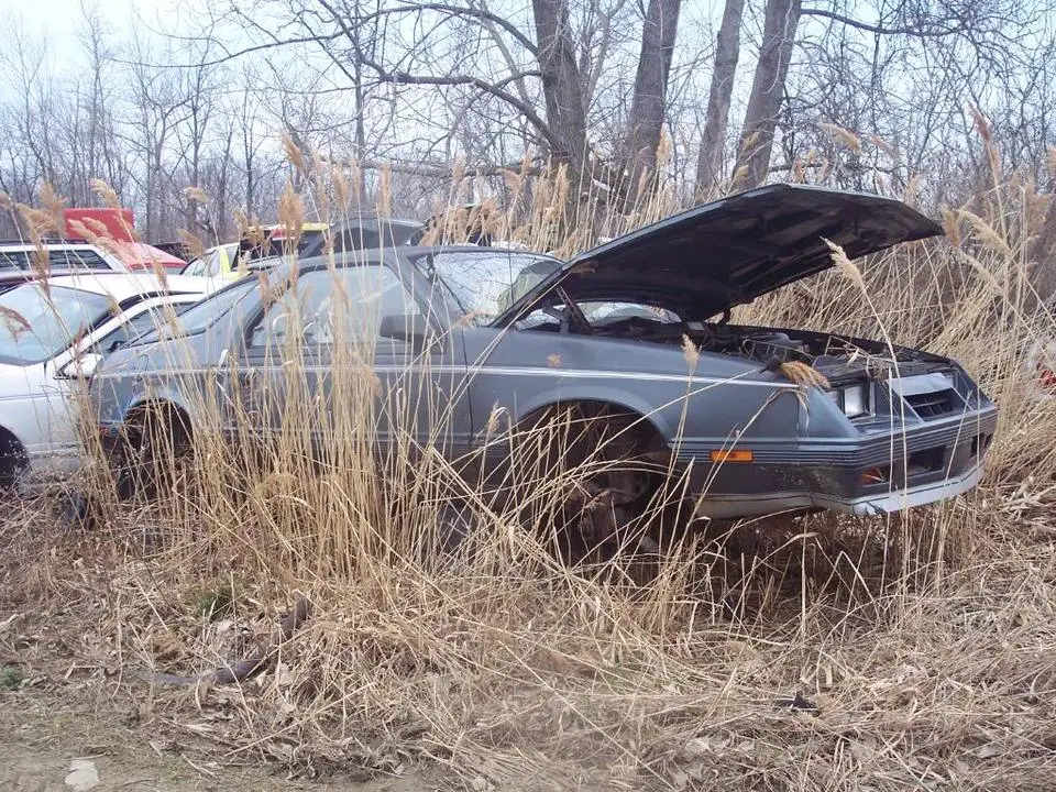 junkyard003.webp