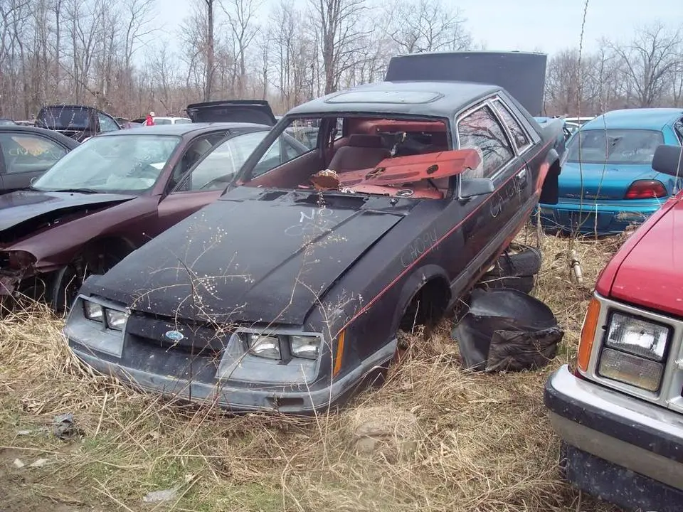 junkyard005.webp