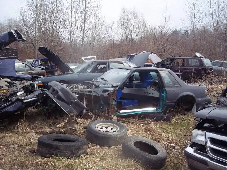junkyard006.webp