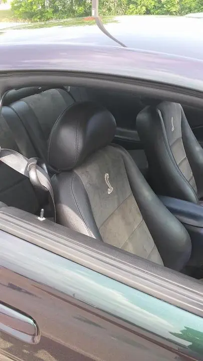 Kamidarkinsertseats_zps96f32589.webp