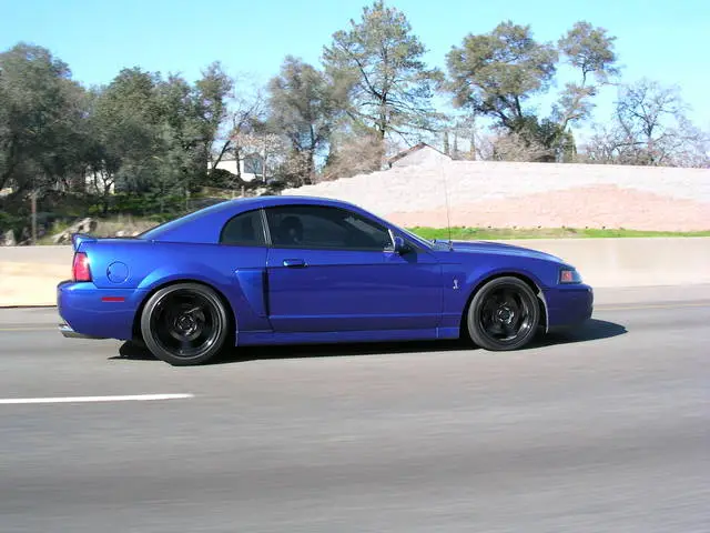 KCJ_stangs_015.webp