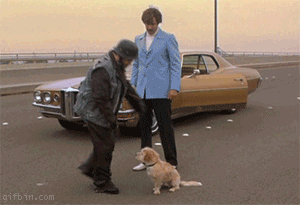 kick puppy.gif