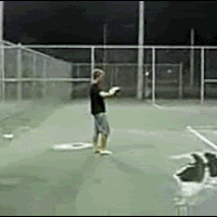 KidOwnedByMentosAndDietCoke.gif