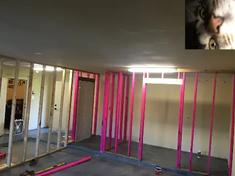 kitteh2.webp