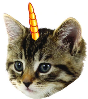 kittens2[1].webp