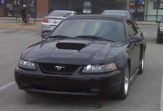 krogstang2.webp