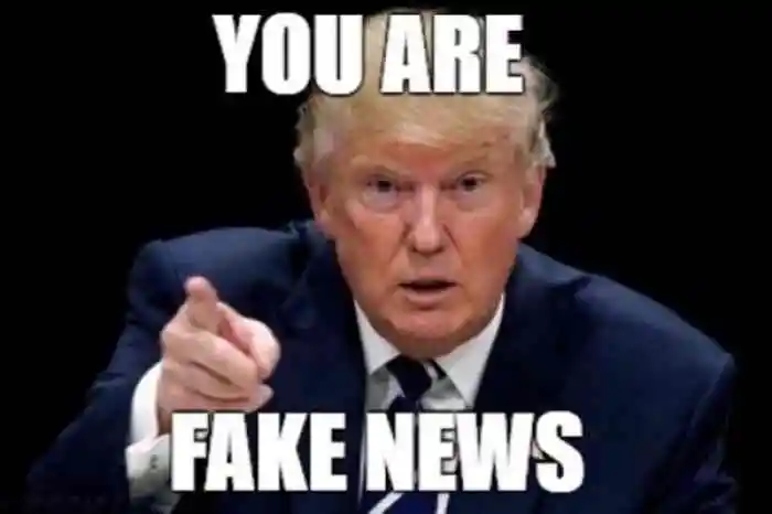 l-21806-you-are-fake-news.webp