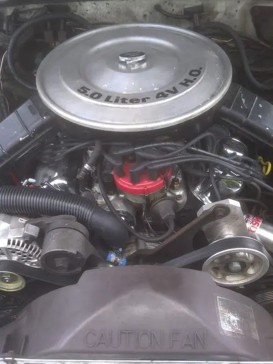 Lakeland-20110622-00043.webp