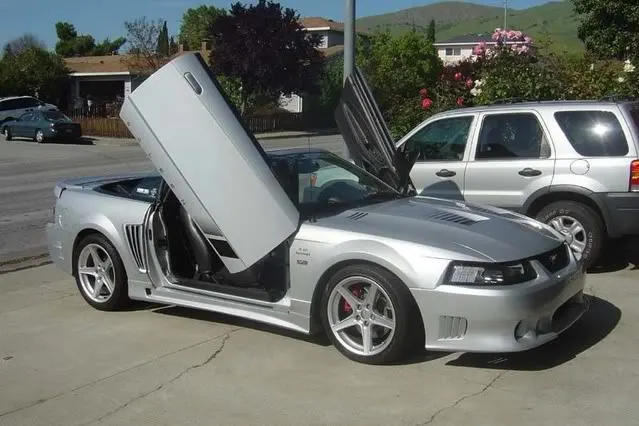 lambodoorsstang.webp