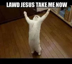 lawd jesus.webp