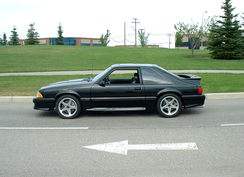 LeftSide.webp
