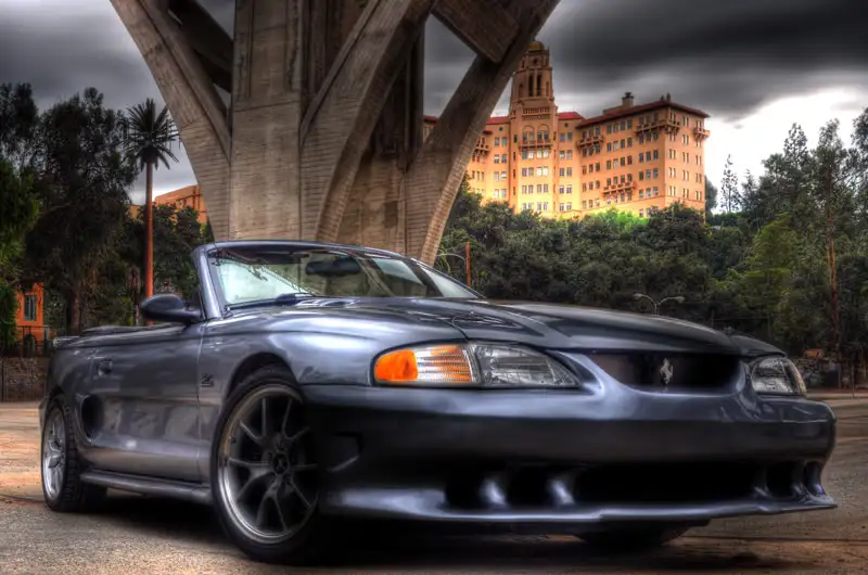 leomustang2.webp