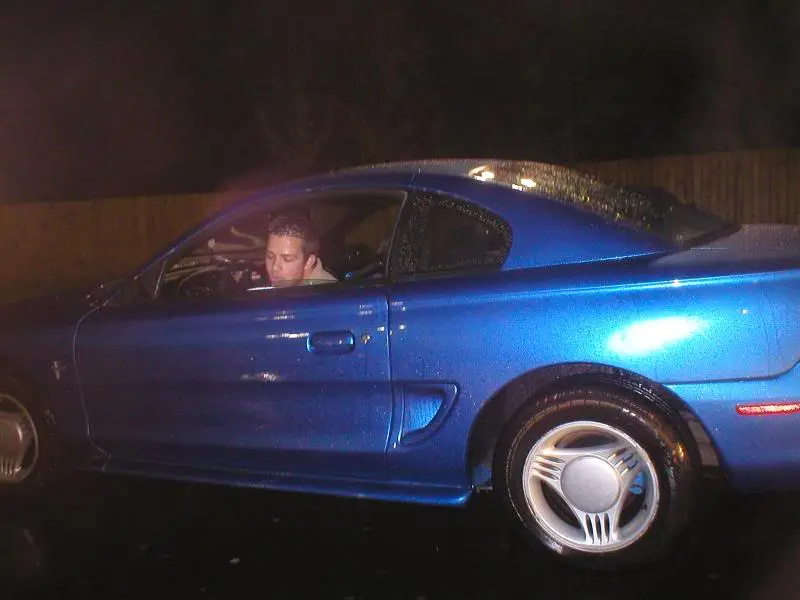 lickingmycar.webp