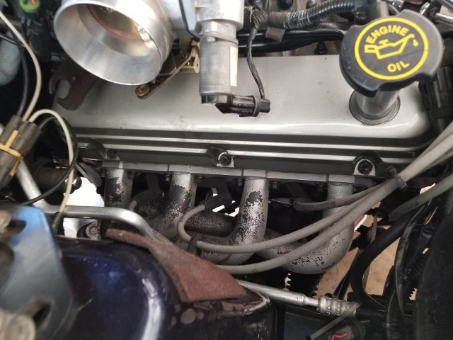 LKV1OE.webp