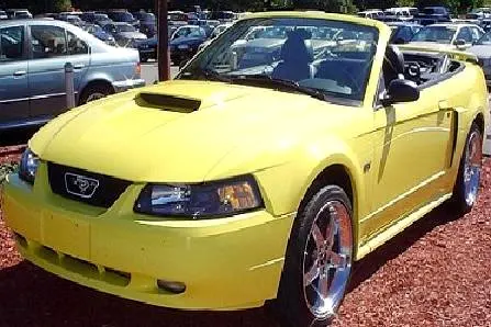 LotStang.webp