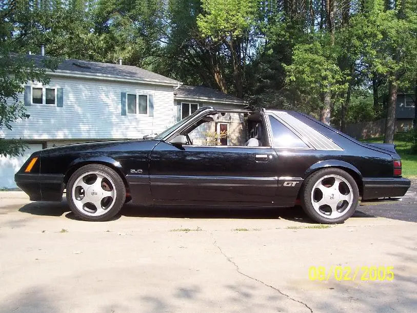 lowered2.webp
