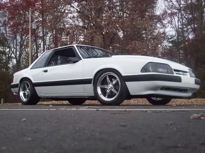 lowered3.webp