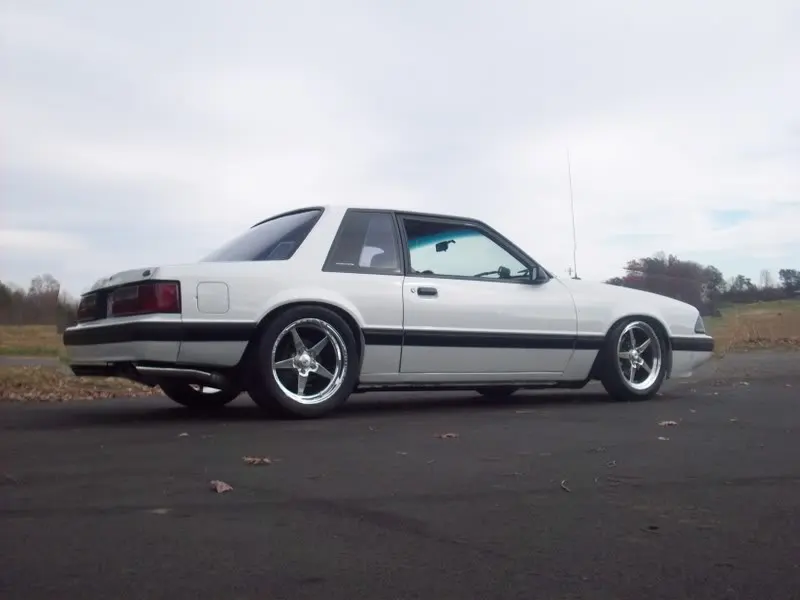 lowered4.webp