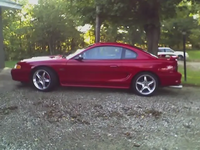 loweredstang.webp