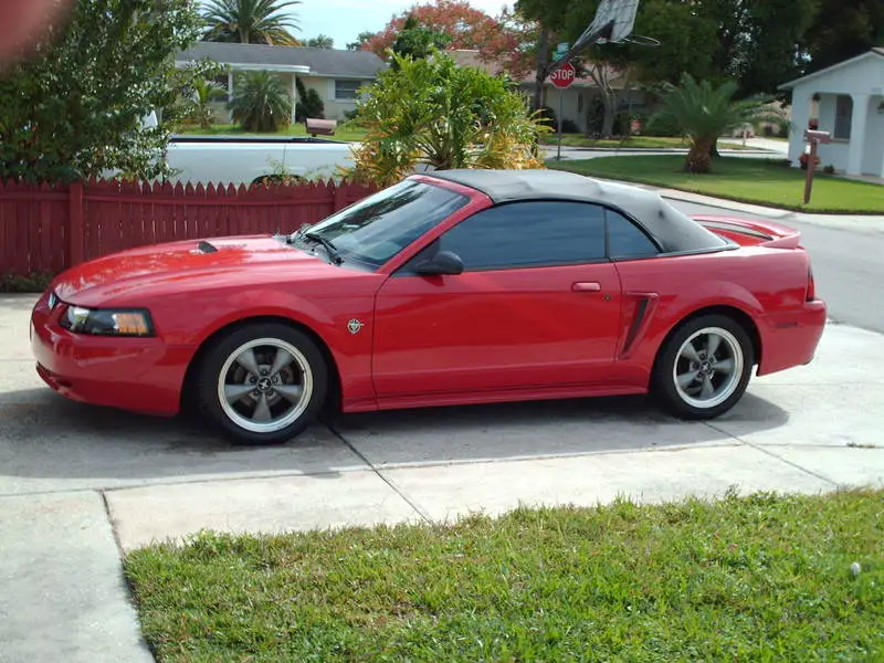 LoweredStang004.webp