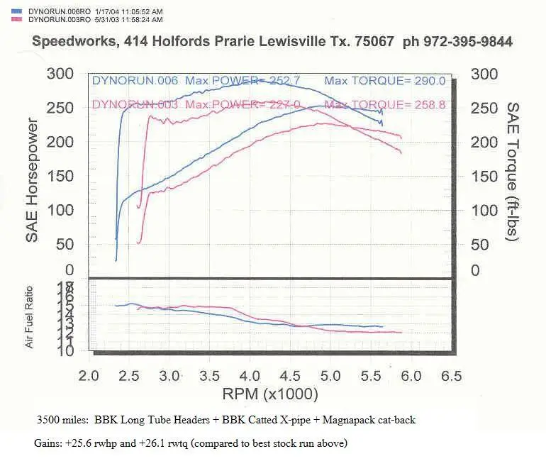 ltdyno.webp