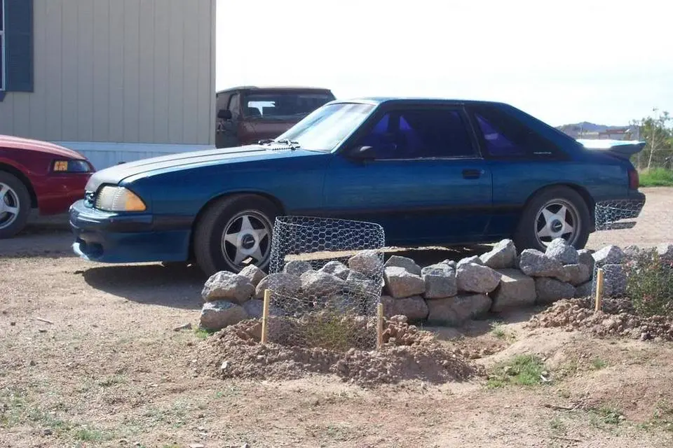 LynnsFrankenstang.webp