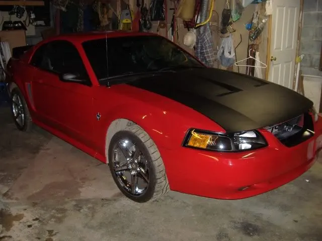 m2.webp