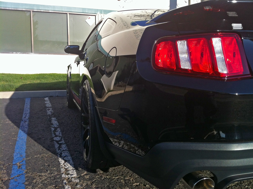 M310-Shelby-rear.webp