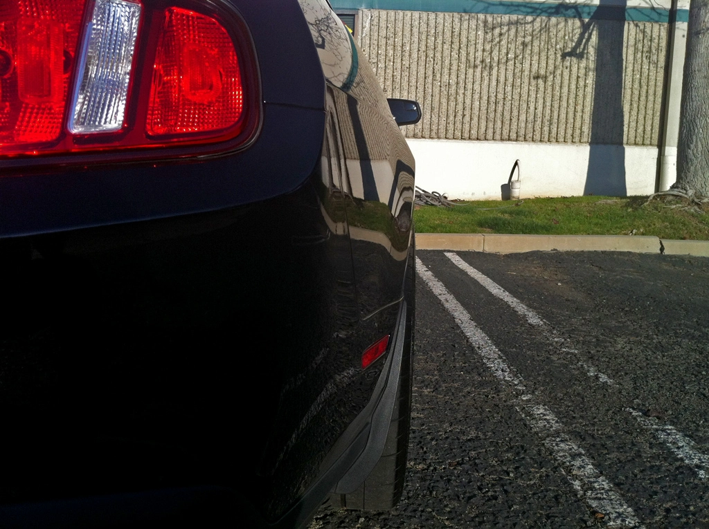 M310-Shelby-rear2.webp