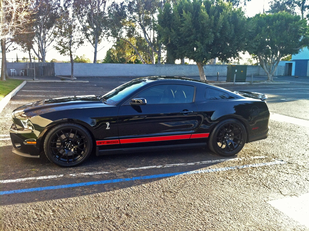 M310-Shelby-Side.webp