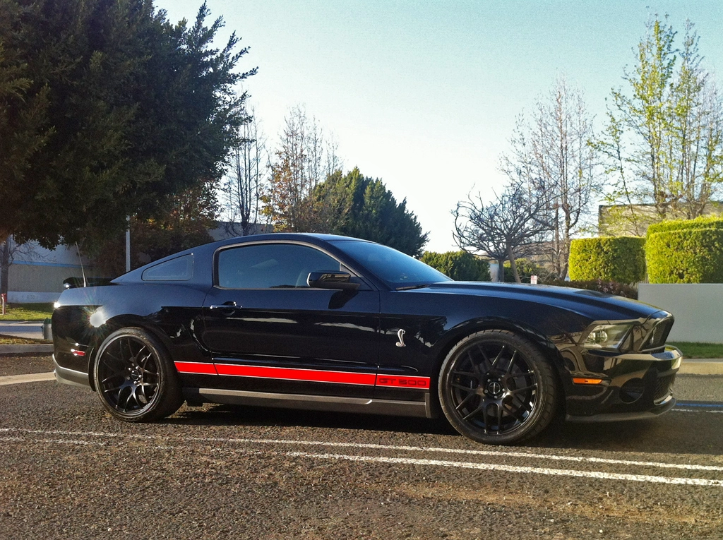 M310-Shelby-Side2.webp