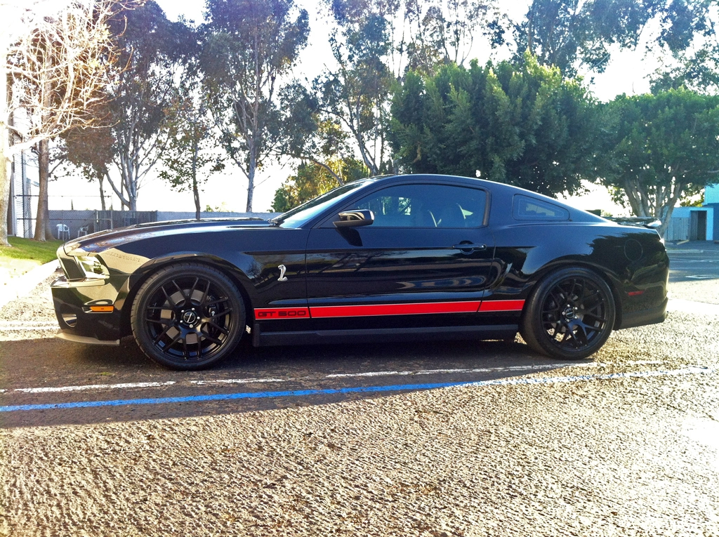 M310-Shelby-Side3.webp