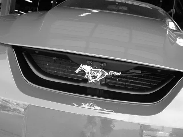 m5lp_0307_02_z+ford_mustang_mach_1_grille+eliminator_grille_kit.webp