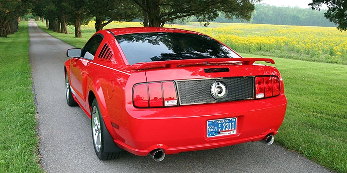 m6.webp