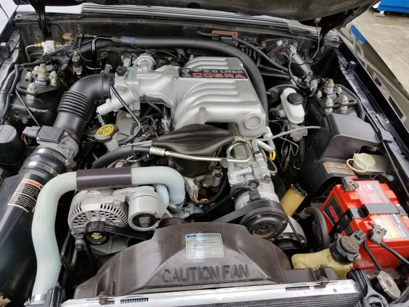 m9xXKm.webp