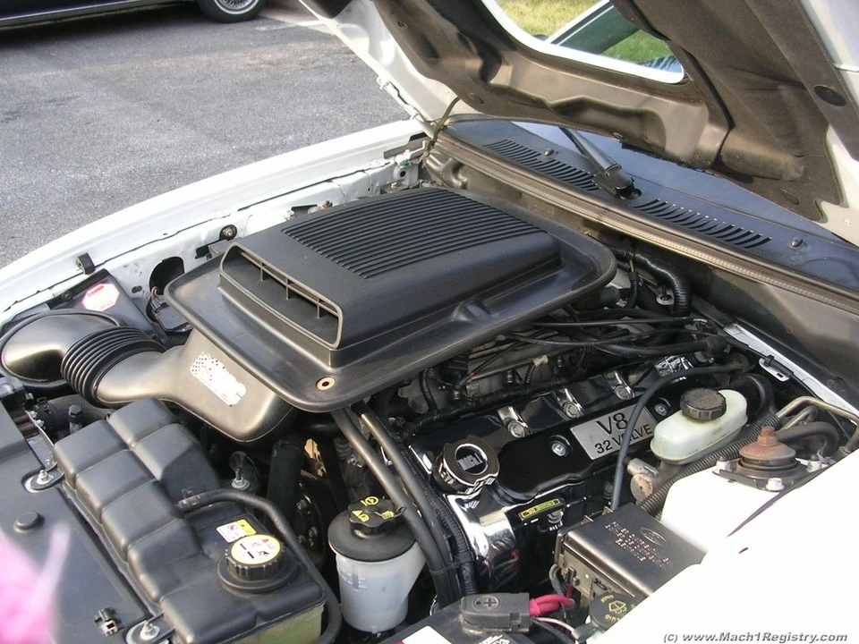 Mach1_Oil_Cap_010.webp