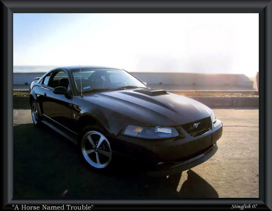 macheditframedresized.webp