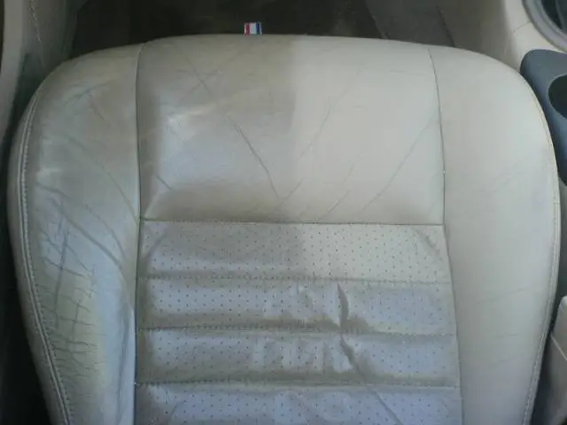 magiceraser.webp