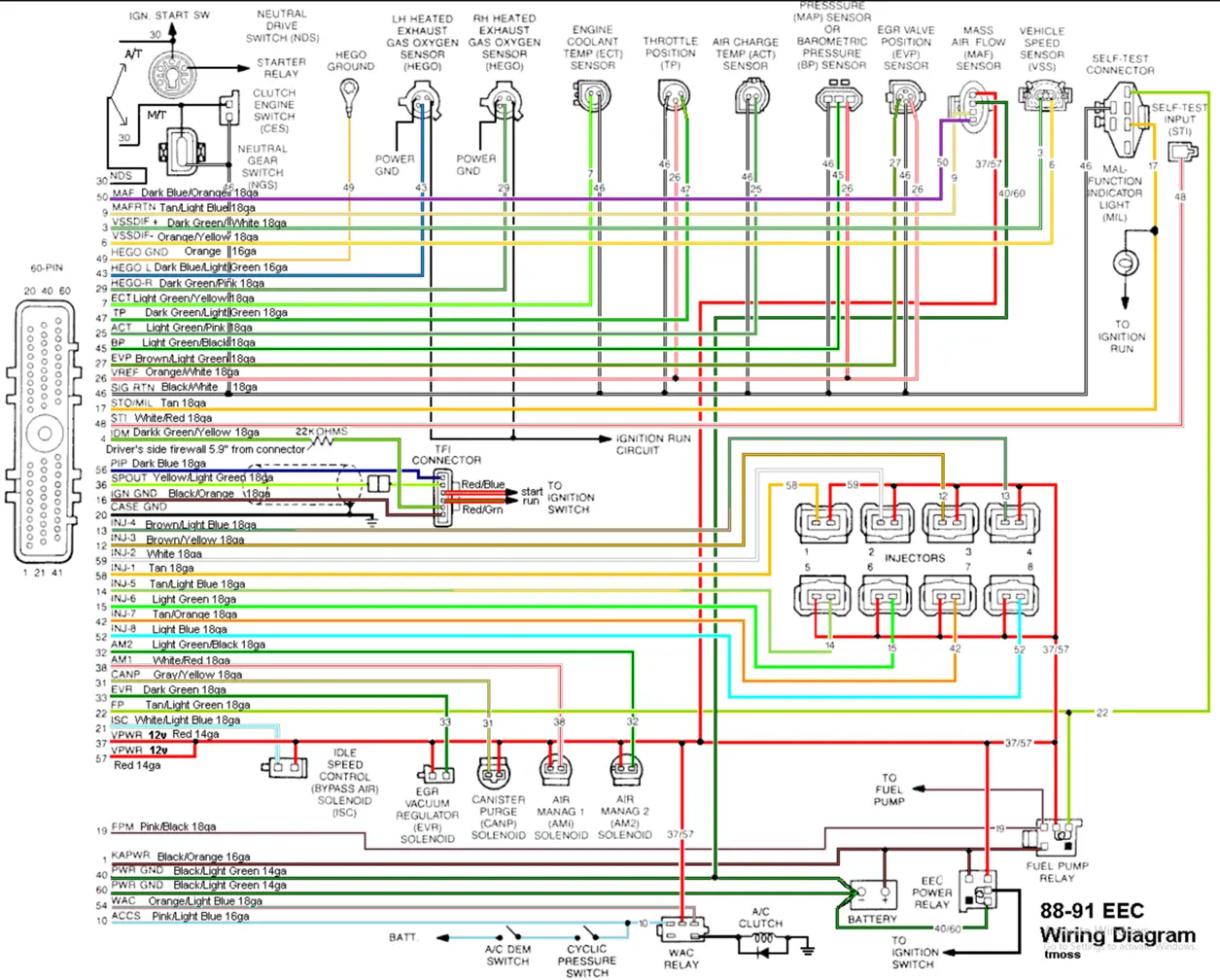 Main Wiring Diagram.webp