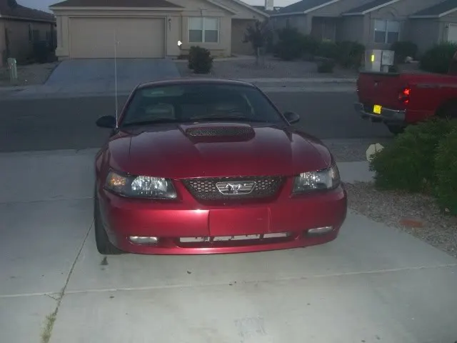 MandysMustang001.webp