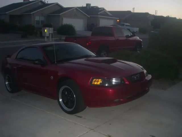 MandysMustang002.webp